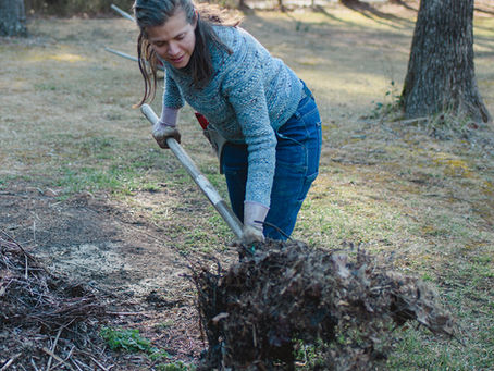 Regenerative Farming: An Overview