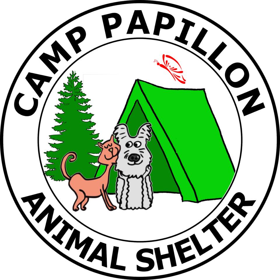 Camp Papillon Animal Shelter | Rescue | Adoption | Stroudsburg Camp Papillon Animal Shelter | Rescue | Adoption | Stroudsburg