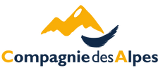 阿尔卑斯公司.png