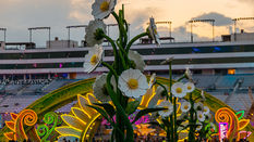 Insomniac, USA