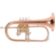 Flugel