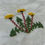 Thumbnail: Danish Handcraft Guild "Mini Flowers"