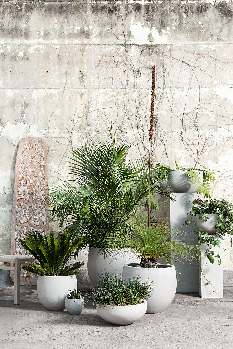 Papaya Homewares