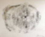 Wasp Nest