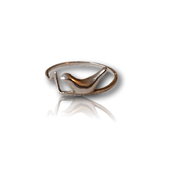 Bird ring