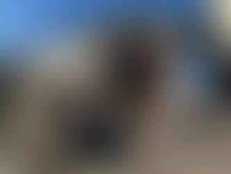 熊本市西区池田外壁屋根塗装工事