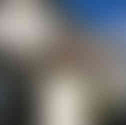 外壁屋根塗装工事　施工後