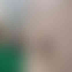 外壁塗装工事　上塗り