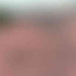 菊池郡菊陽町　外壁塗装工事　屋根補修後