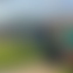 "Float into Fall" at Aden & Ebbetts!