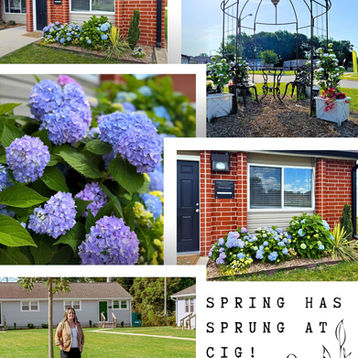 Spring Lawn Care 