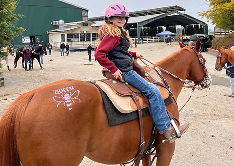 7D7838A3-294D-492F-AD33-3F3C424A4A7A_edi