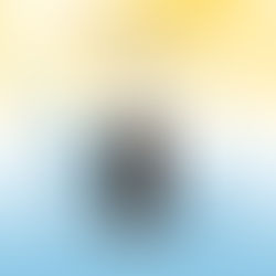 Sunshield Sunscreen