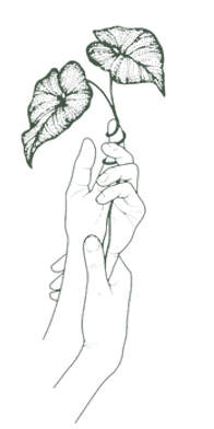 Justine Payot art thérapie évolutive Yverdon