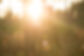 Mind & Movement Yoga Naturopathie Fribourg
