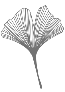 Cab. thérap. id. visuelle.png