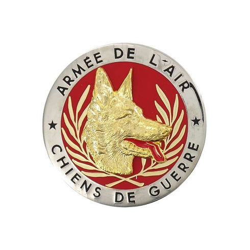 insigne-brevet-maitre-chiens-de-guerre-armee-de-l-air.jpg