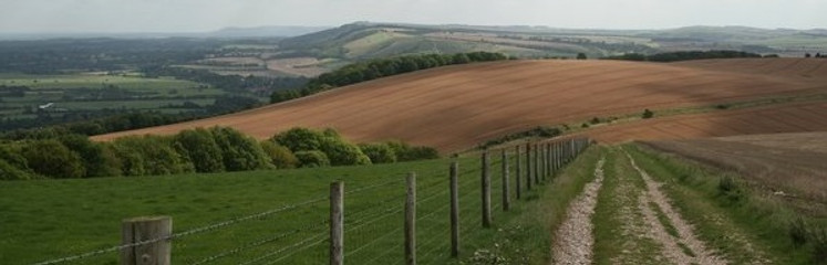 south downs.jpg