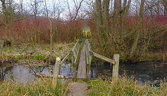 footbridge2.PNG
