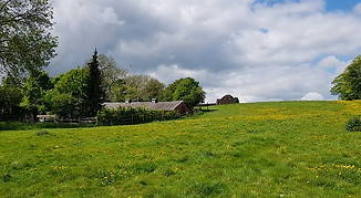 field.jpg