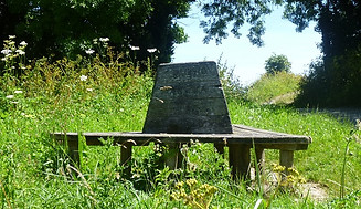bench.jpg