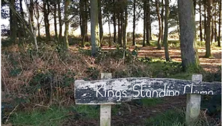 zkings3.PNG