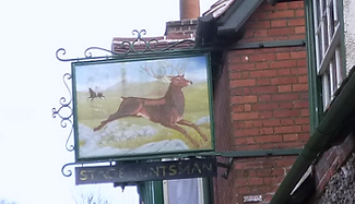 stag2.PNG