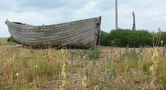 zboat1.jpg