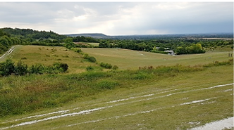 combe3.PNG