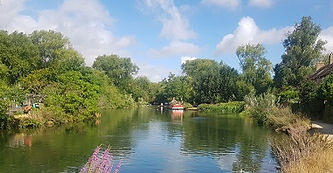 rower3 (1).jpg