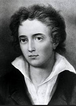 shelley.PNG