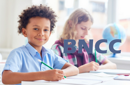 Competências socioemocionais e a BNCC
