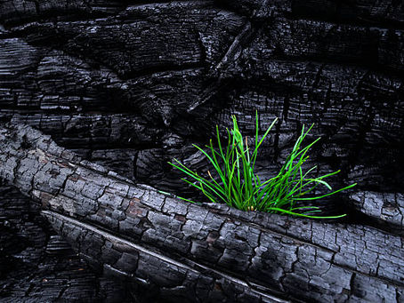 She Walks in Renewal - Part 1