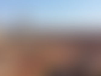 I prezzi delle case salgono nel bolognese, tempi di vendita in diminuzione