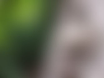 Mercato immobiliare di Verona, primo semestre 2019