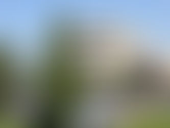 Open Day per la Scuola di lingue Cis