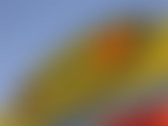 Crack Mercatone Uno: assolti i vertici