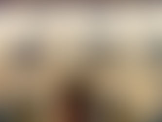 Confedilizia Reggio Emilia: addobbata la facciata della sede