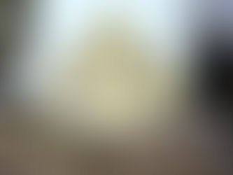 Nuova sede della Polizia Municipale dell'Unione Tresinaro all'ex Biblioteca