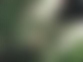 Nasce l’App per trovare lavoro nel mondo dell’agricoltura: “Restoincampo”