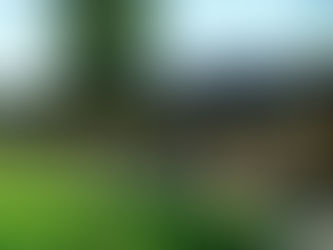 Dimora D’Abramo: quadruplica il lavoro per le persone accolte