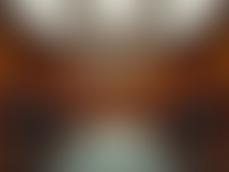 A importância do advogado audiencista no Rio de Janeiro