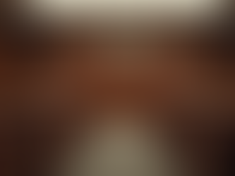 Como um advogado audiencista pode ajudar nos seus processos