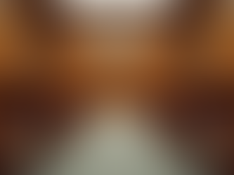 Contratar Advogados Cíveis no Rio: Como Escolher o Profissional Ideal para Audiências