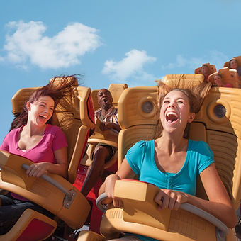 Hollywood Rip Ride Rockit Image.jpg