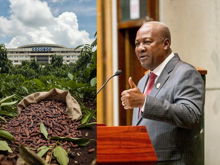 Cocoa Crisis: President Mahama Summons Emergency Cabinet Meeting as Debts Mount