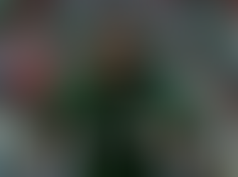 Nigeria Crush Algeria 2-0 to Storm Into AFCON Semi-Finals