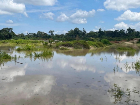 Mahama Reports Progress in Anti-Galamsey Fight as Water Bodies Show Signs of Recovery