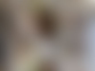 DNA TOURISM: YEAR OF RETURN 2.0