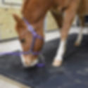 Stall Mats 